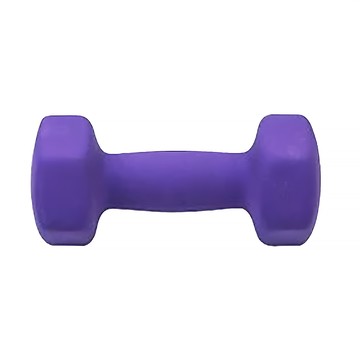 三次方 塑身小啞鈴  5Kg 紫色 居家健身復健使用  1個