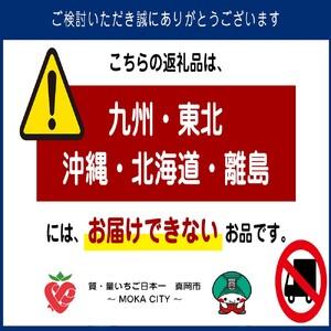 ふるさと納税 お試し企画 宇都宮餃子 肉餃子 栃木県真岡市