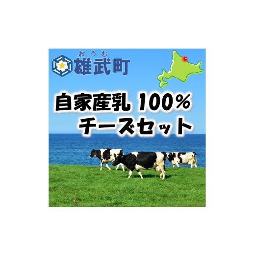 ふるさと納税 北海道 雄武町 北海道雄武町産　熟成チーズセット(ハードグラス25g×３　イルフューム25g×３　モルディ25g×３)