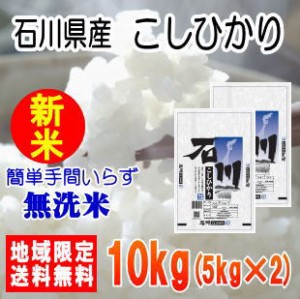 令和5年産石川県産こしひかり10kg（5kg×2）※北海道・九州・沖縄は送料別途　米　10キロ　送料無料