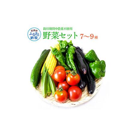 ふるさと納税 野菜セット（7‐9種類）栽培期間中農薬不使用！ 季節の野菜 旬 無農薬 野菜 やさい 新鮮 自然 健康 セット 詰め合わせ 冷蔵 美味し.. 高知県芸西村