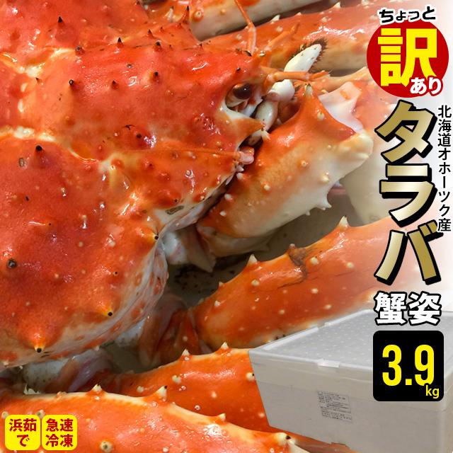 お歳暮 カニ ギフト 数量限定 送料無料 北海道産(オホーツク海)ちょっと訳有り タラバ蟹姿(堅蟹・3.9kg前後)   タラバガニ たらばがに タラバ 蟹 かに 訳あり