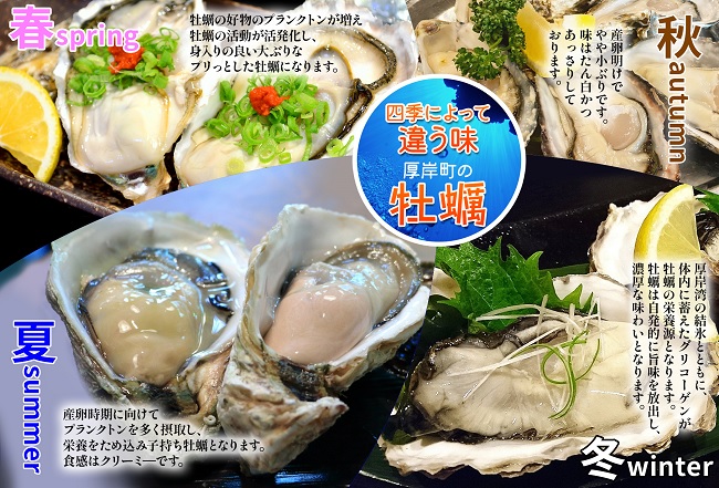 4月～6月配送 厚岸産　殻付カキ Lサイズ20個（生食用）牡蠣