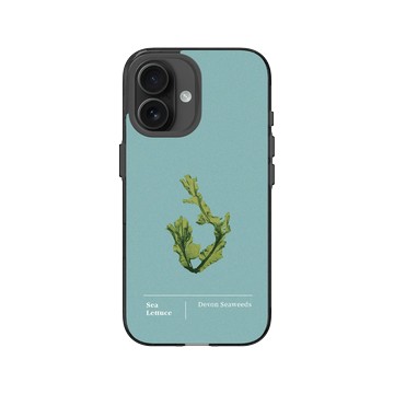 iPhone 16 Clear (相機按鈕) 酷墨灰 - The Seaweed Studio - 德文郡・美扇藻研習
