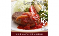 五つ星ひょうご認定特製神戸ビーフハンバーグセット(100g×5個入り)