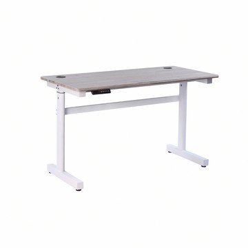 E-home 一片式鴨嘴斜沿雙節USB電動記憶升降桌-寬120cm-兩色可選白架