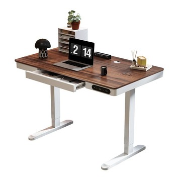 MGSHOP MGSHOP 新電動升降桌120CM 電腦桌 辦公桌 書桌 兒童升降桌(楠洋楹木 抽屜款)