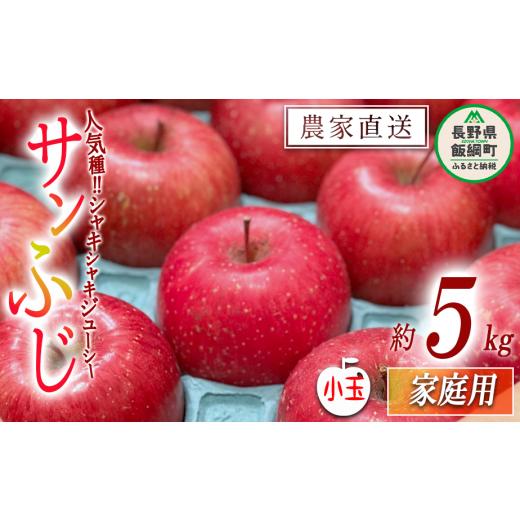 ふるさと納税 長野県 飯綱町 りんご サンふじ 家庭用 小玉 5kg 永野農園 沖縄県への配送不可 2023年12月中旬頃から2024年2月上旬頃まで順次発送予定 令和5…