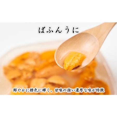 ふるさと納税 利尻島産 塩水 生うに ばふんうに100g×2■2024年6月より順次出荷■ 先行受付 ウニ 利尻  北海道利尻町