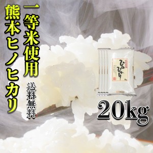 お米 米 20kg 白米 送料無料 一等米使用 熊本県産 ひのひかり 新米 令和5年産 ヒノヒカリ あすつく 5kg4個 くまもとのお米 富田商店 とみ