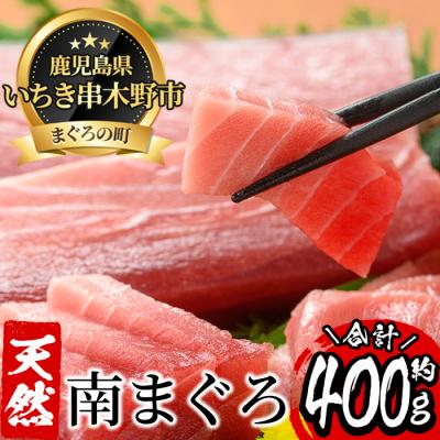 ふるさと納税 いちき串木野市 南まぐろ中トロ・赤身セット　約400g　