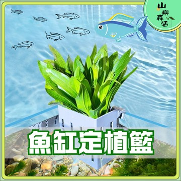 【現貨🔥隔日達】魚缸定植籃 水培植物籃 魚缸水培 水草定植杯 植物籃  壁掛工具 水培籃 水耕植物 水培定植籃
