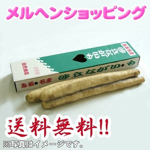 砂丘ながいも　約3kg(3本入り)　鳥取県産