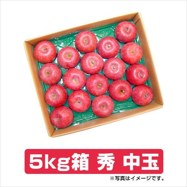 送料無料 サンふじ りんご 山形県産 秀 中玉 5kg箱 (18〜20玉入) ふじ りんご リンゴ お歳暮 御歳暮 お年賀 御年賀 贈答 