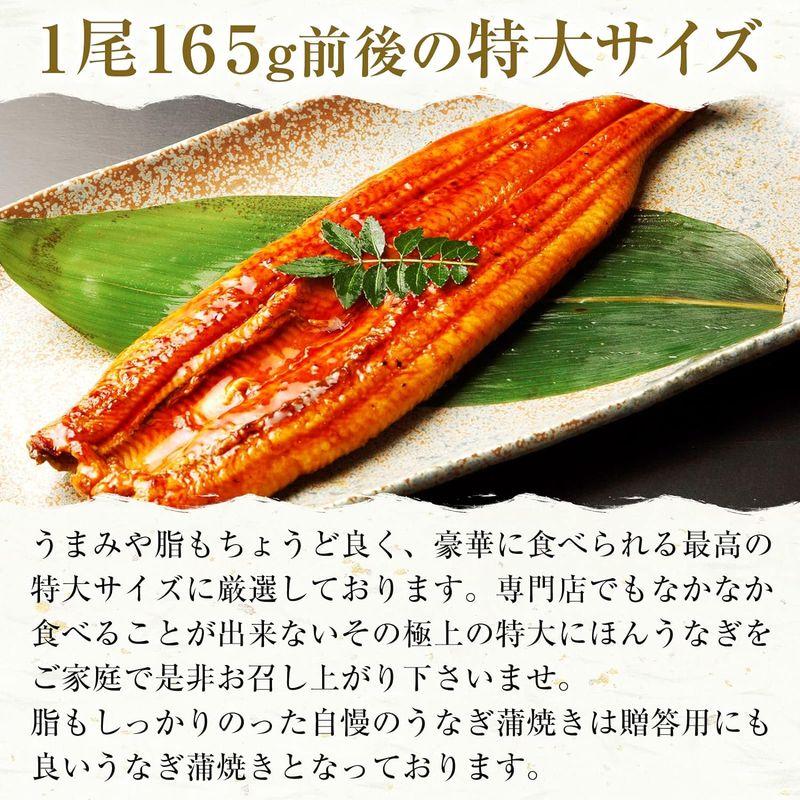 ますよね にほん うなぎ蒲焼き 約330g(165g前後×2本) 化粧箱入り タレ・山椒付き ウナギ うなぎ 蒲焼き 冷凍食品 ギフト