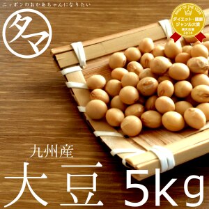 九州産 大豆 5kg (一等級ダイズ)　令和4年産 豆を食べよう！タマチャンの国産大豆！