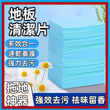 多效合一地板清潔片🍊清潔片 拖地清潔片 強力去汙清潔片 磁磚清潔 地板清潔片 木地板清潔 清潔地板 生物酶抗菌清潔片