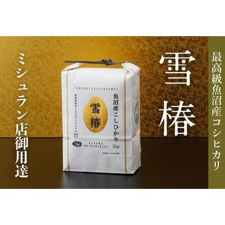 ふるさと納税 最高級魚沼産コシヒカリ「雪椿」32kg(2kg×16袋)　特別栽培米 新潟県津南町