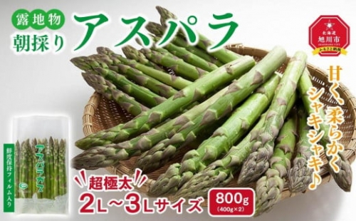 露地物朝採りアスパラ 2L～3Lサイズ800g（400g×2）鮮度保持フィルム