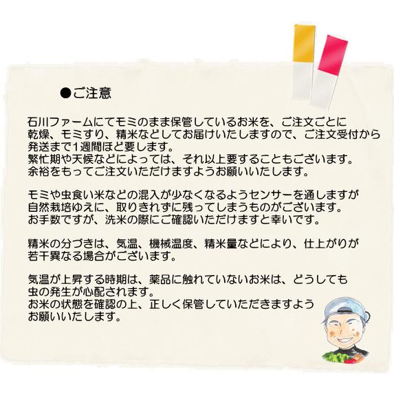 もち白米10kg 　はぜかけ米(天日干し・自然乾燥)　石川ファーム自然栽培米 無農薬　R5年新米