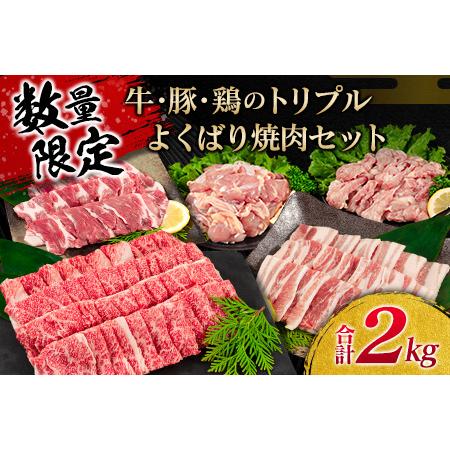 ふるさと納税 ≪数量限定≫牛・豚・鶏のトリプルよくばり焼肉セット(合計2kg)　肉　牛肉　豚肉　鶏肉 C73-21 宮崎県日南市