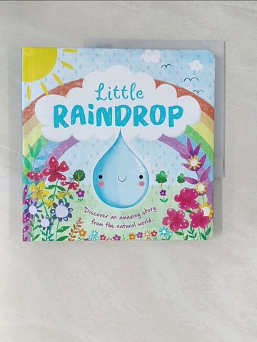 【書寶二手書T1／少年童書_Y3U】Little Raindrop