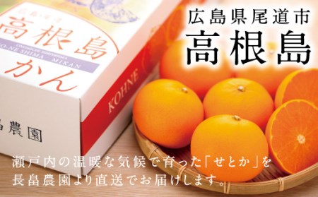 濃厚・ジューシー！ハウス栽培せとか　約3ｋｇ　化粧箱入り　＜2024年2月下旬より発送開始＞