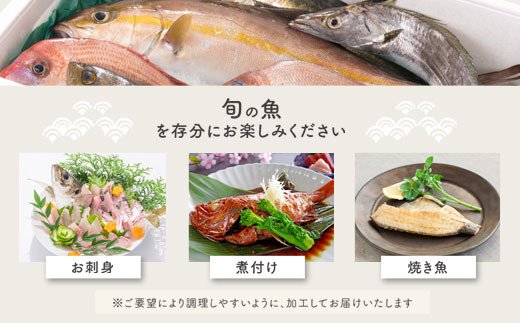 魚屋さんの選んだ新鮮お魚詰め合わせ（約6~8人分）