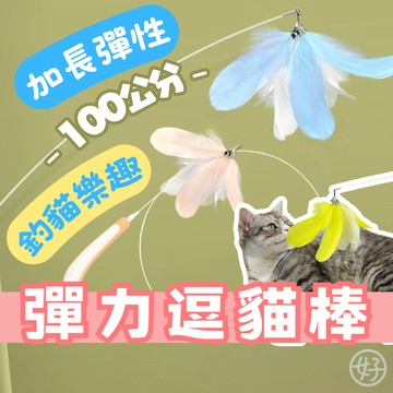 （長桿100cm❤️）逗貓棒 彈力逗貓棒 羽毛逗貓棒 貓咪玩具 貓玩具 逗貓玩具 長桿逗貓棒 釣竿逗貓棒 高雄最便宜