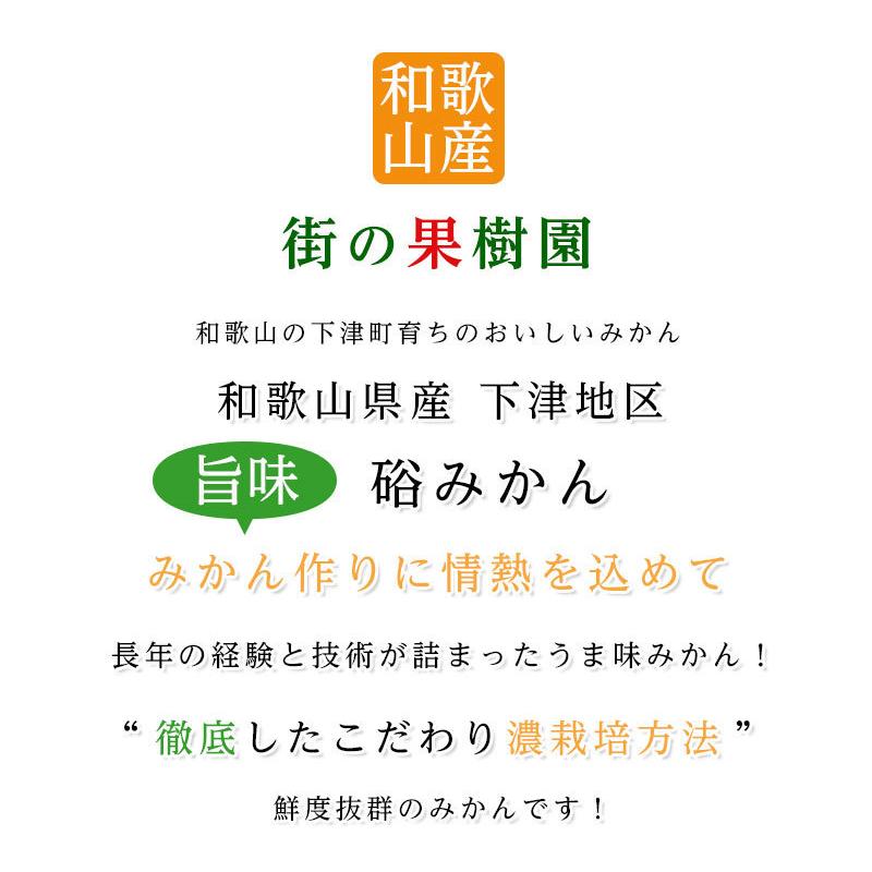 送料無料 和歌山県産下津 硲 みかん Lサイズ 約5kg 和歌山 みかん 5kg お歳暮 フルーツ ギフト