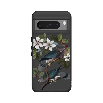 Pixel 8 Pro SolidSuit 黑 - The British Library - 美洲鳥譜 ‧ 帶尾原鴿