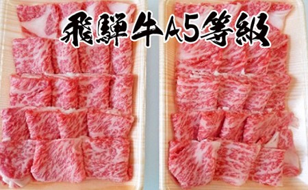 牛肉 飛騨牛 焼き肉 セット ロース 又は 肩ロース 1ｋｇ 黒毛和牛 Ａ5 美味しい お肉 牛 肉 和牛 焼肉 BBQ バーベキュー  