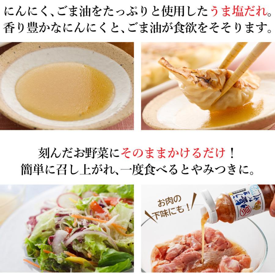 うま塩だれ 250ml 12本 にんにく・ごま油 送料無料