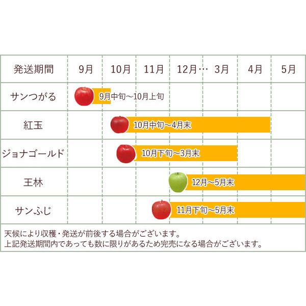 サンふじ青森りんご（約5kg）A級品 竹嶋有機農園 直送につき代引・同梱不可