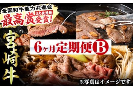 宮崎牛定期便＜Bセット＞