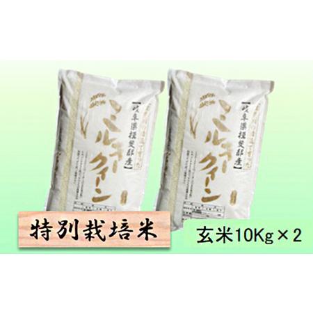 ふるさと納税 特別栽培米★玄米20kg10Kg×2 岐阜県池田町