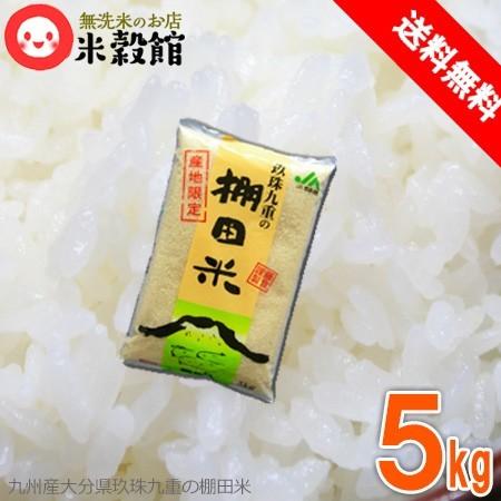 米 5kg 無洗米 送料無料 九州 大分県玖珠九重産「棚田米」