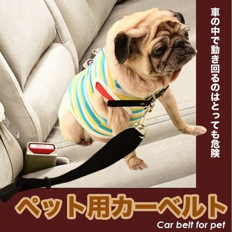 ペット用 シートベルト 犬 猫 ドッグリード にもなる2way仕様 長さ調整可能 車 カー用品 車載用 便利グッズ ついで買いセール ペットのシートベルト 通販 Lineポイント最大0 5 Get Lineショッピング