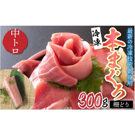 ふるさと納税 福井県 鯖江市 本マグロ 中トロ 300g（柵どり） [B-11014]