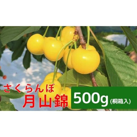 ふるさと納税 北海道 仁木町 峠のふもと紅果園 北海道 仁木町産 さくらんぼ一段並べ 桐箱入り 500g