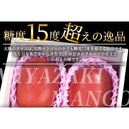 ふるさと納税 予約受付！数量限定＜宮崎県産 太陽のタマゴ A等級 2Lサイズ×3玉（合計約1kg）＞2024年4月下旬〜2024年6月下旬.. 宮崎県国富町