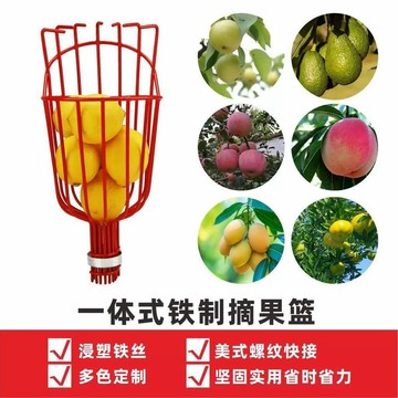 🌳【新款高空摘果神器水果籃】蘋果摘果器桃子枇杷葡萄 園林採摘工具專用 台灣出貨 0406