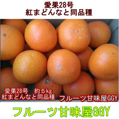 愛果28号　紅まどんなと同品種　あいか　みかん　愛媛産　1箱約５kg　紅まどんな　紅マドンナ　愛果　あいか　アイカ