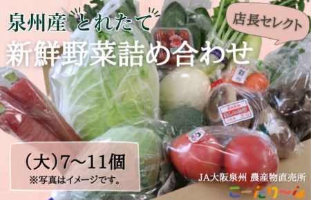 直売所店長セレクト季節の野菜セット（大）