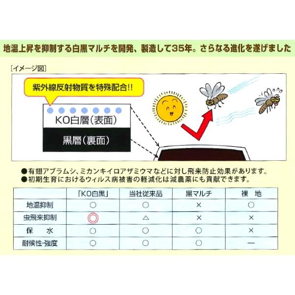 みかど化工 KO白黒ダブルマルチ　（KOWB）　厚み0.025mm　幅120cm×長さ200m　無孔　3本セット