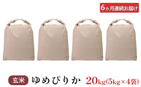 6ヵ月連続お届け　銀山米研究会の玄米＜ゆめぴりか＞20kg