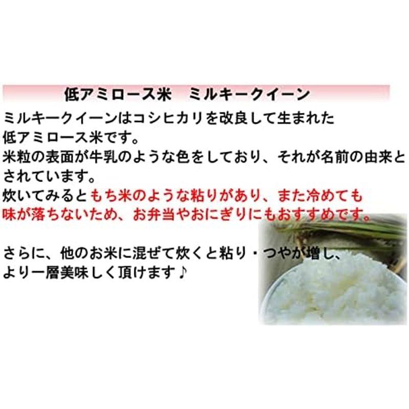 ミルキークイーン 精米 5kg 会津産 令和4年産 お米