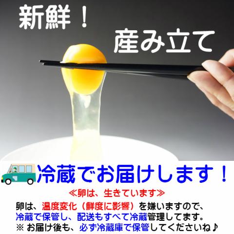 卵 やさと 産直たまご MS108個 ギフト 産地直送 安全安心 産み立て タマゴ たまご 玉子 茨城 お取り寄せ