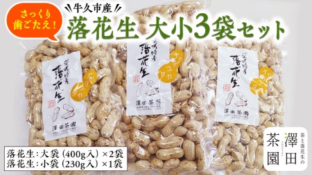 牛久産 落花生 大小3袋 詰合せ ピーナッツ ピーナツ ナカテユタカ 中手豊 甘い 美味しい おいしい おやつ お菓子 ビールのお供 お酒のあて 酒の肴 お取り寄せ 詰め合わせ お土産 贈り物 ギフト プチギフト 国産 茨城 特産品 農園 自家栽培