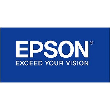 【文具通】EPSON T039050墨水匣.彩 R1010202【領券滿額再折千7/31止】